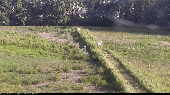 Cell 3 to 4_24-06-16_08-19-06-36