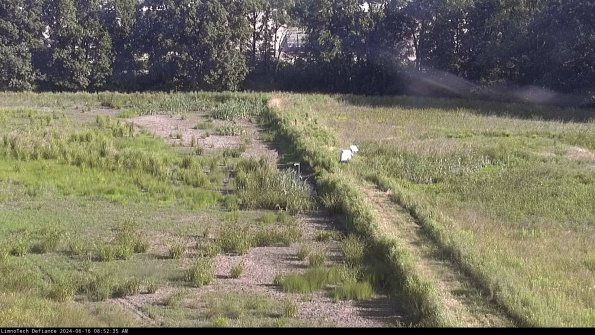 Cell 3 to 4_24-06-16_08-52-36-35