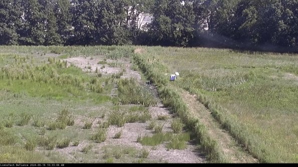 Cell 3 to 4_24-06-16_10-33-07-35