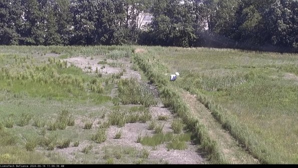 Cell 3 to 4_24-06-16_11-06-37-37