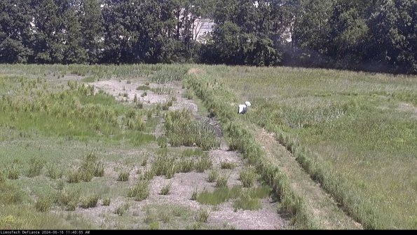 Cell 3 to 4_24-06-16_11-40-06-32