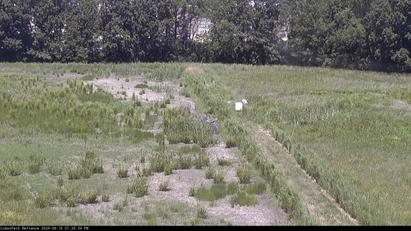 Cell 3 to 4_24-06-16_13-20-35-38