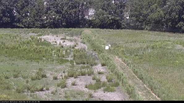 Cell 3 to 4_24-06-16_13-54-04-33