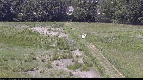 Cell 3 to 4_24-06-16_14-27-34-38