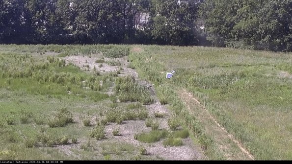 Cell 3 to 4_24-06-16_16-08-01-36