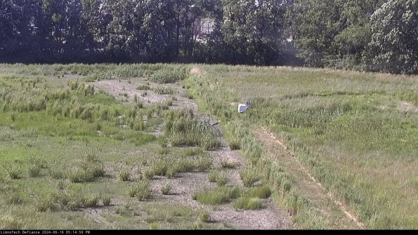 Cell 3 to 4_24-06-16_17-15-00-36