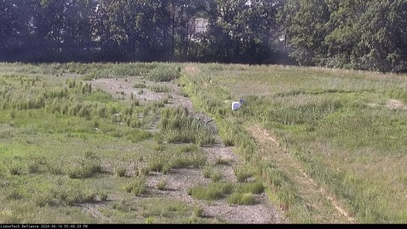 Cell 3 to 4_24-06-16_17-48-30-37