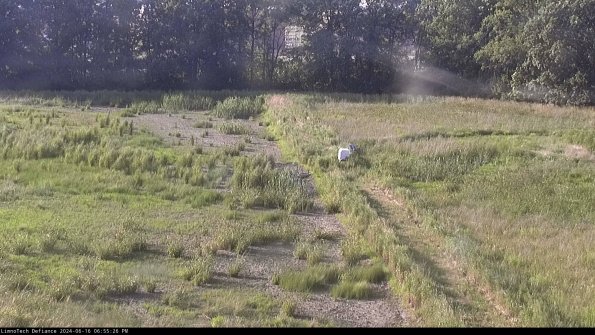 Cell 3 to 4_24-06-16_18-55-27-34