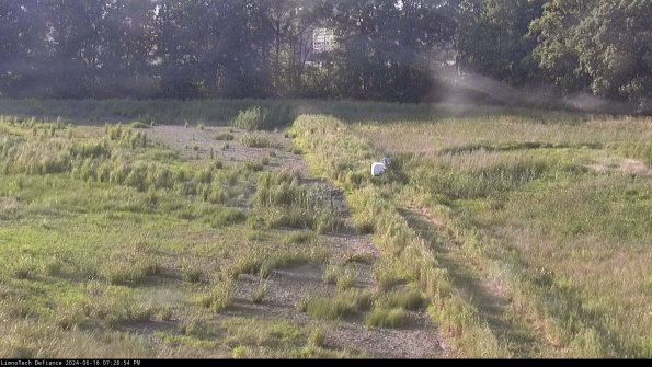 Cell 3 to 4_24-06-16_19-28-55-38