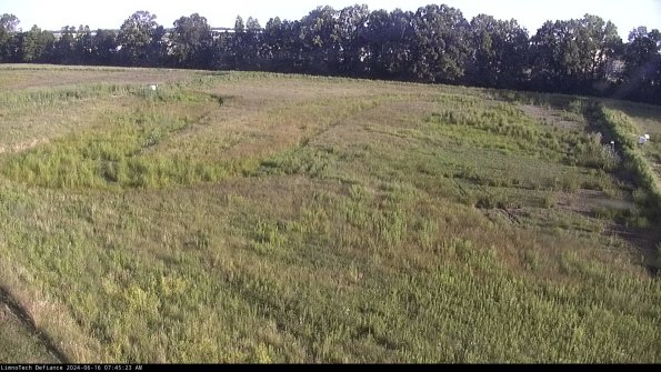 Cell 3_24-06-16_07-45-24-36