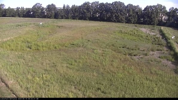 Cell 3_24-06-16_08-52-22-37