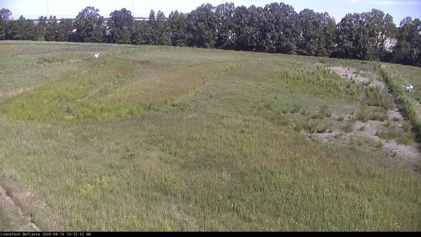 Cell 3_24-06-16_10-32-53-37