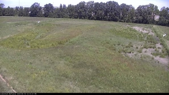 Cell 3_24-06-16_12-13-22-32