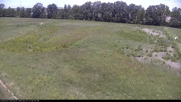 Cell 3_24-06-16_12-46-51-34