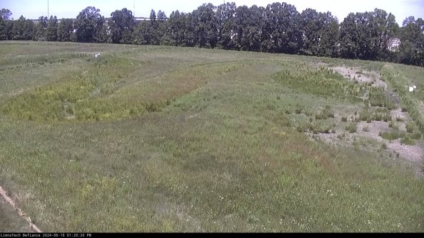 Cell 3_24-06-16_13-20-21-33