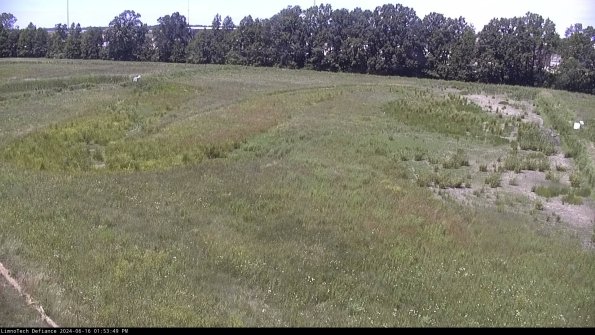 Cell 3_24-06-16_13-53-50-35