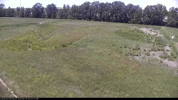 Cell 3_24-06-16_14-27-20-33