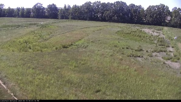 Cell 3_24-06-16_16-41-17-33