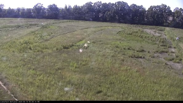 Cell 3_24-06-16_17-48-16-36