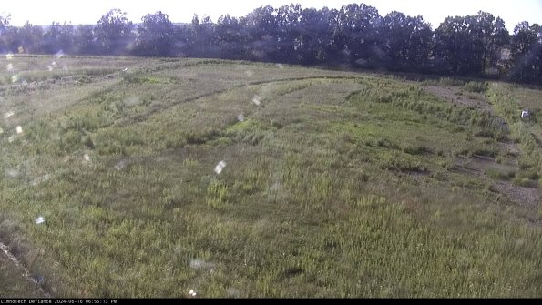 Cell 3_24-06-16_18-55-13-62