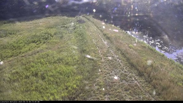 Cell 4 to Basin_24-06-16_08-19-50-34