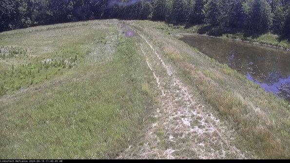 Cell 4 to Basin_24-06-16_11-40-50-36