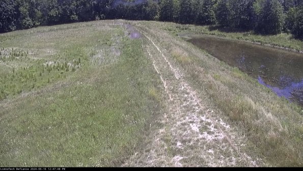 Cell 4 to Basin_24-06-16_12-47-49-37