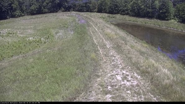 Cell 4 to Basin_24-06-16_13-54-48-37