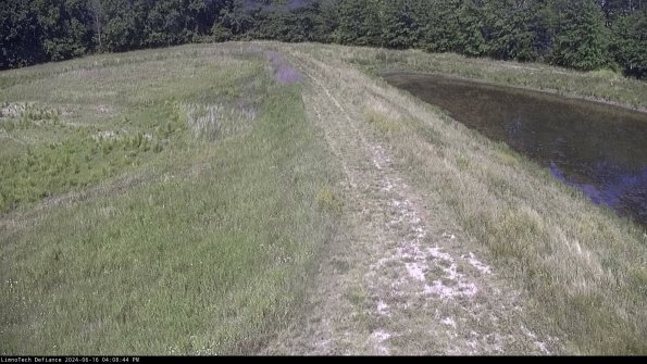 Cell 4 to Basin_24-06-16_16-08-45-37