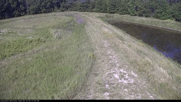 Cell 4 to Basin_24-06-16_17-15-44-37