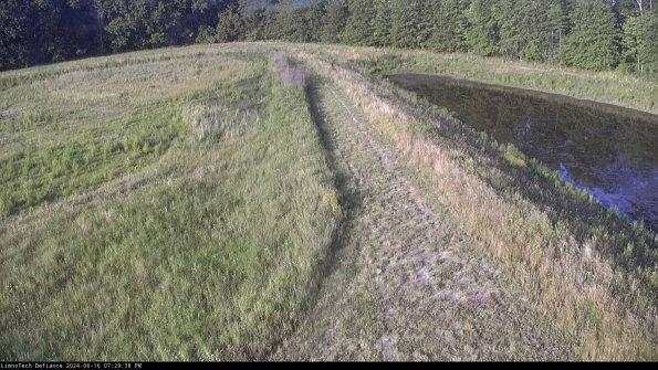 Cell 4 to Basin_24-06-16_19-29-39-36