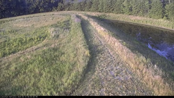 Cell 4 to Basin_24-06-16_20-03-09-38