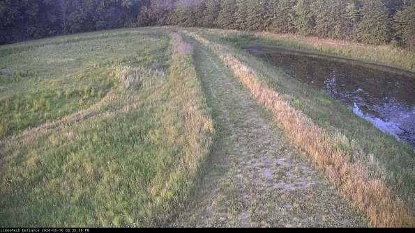 Cell 4 to Basin_24-06-16_20-36-39-37