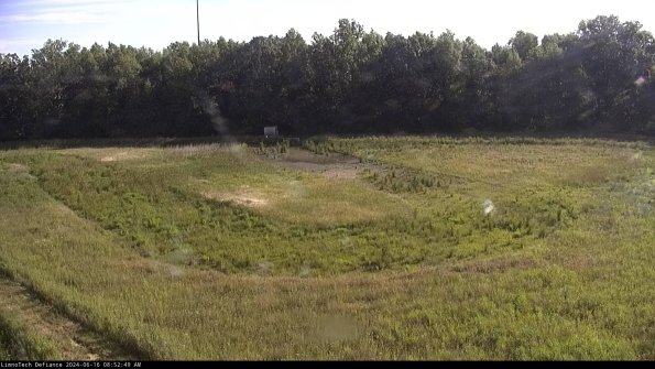 Cell 4_24-06-16_08-52-50-37