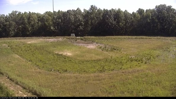 Cell 4_24-06-16_10-33-21-33