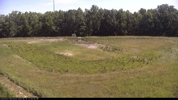 Cell 4_24-06-16_11-06-51-35