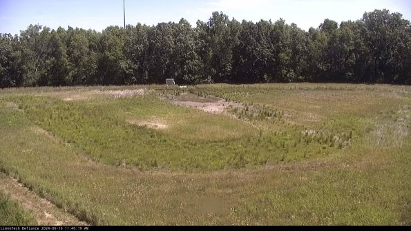 Cell 4_24-06-16_11-40-20-33