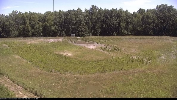 Cell 4_24-06-16_12-13-50-35