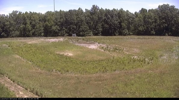 Cell 4_24-06-16_12-47-19-34