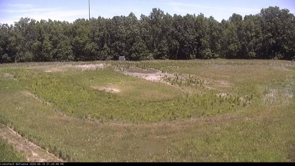 Cell 4_24-06-16_13-20-49-36