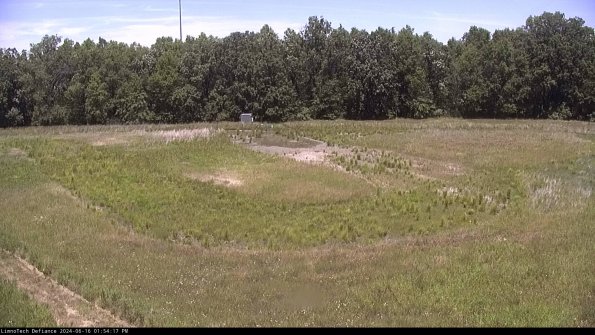 Cell 4_24-06-16_13-54-18-37