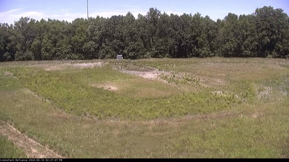 Cell 4_24-06-16_14-27-48-33