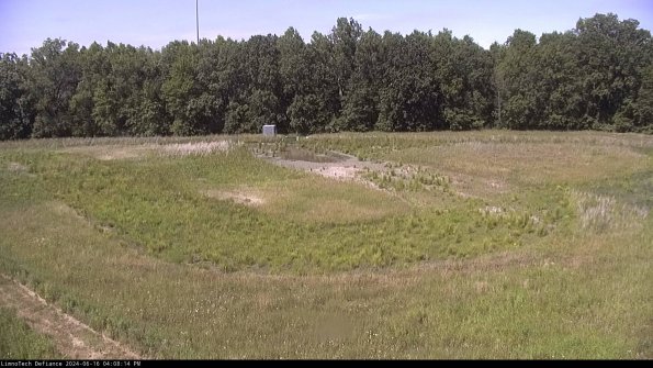 Cell 4_24-06-16_16-08-15-34