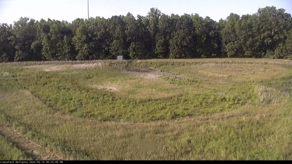 Cell 4_24-06-16_18-55-41-35