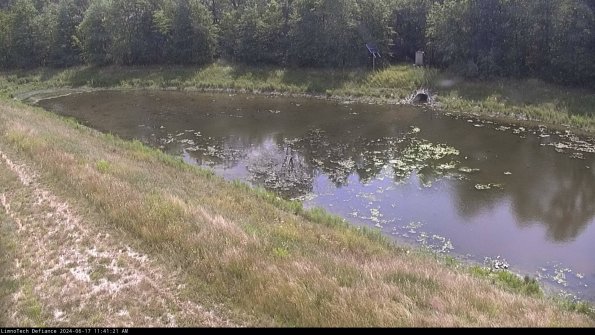 Basin_24-06-17_11-41-22-39