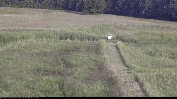 Cell 1 to 2_24-06-17_07-45-03-34