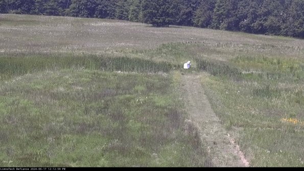 Cell 1 to 2_24-06-17_12-13-00-33