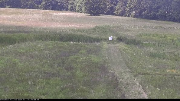 Cell 1 to 2_24-06-17_13-19-59-33