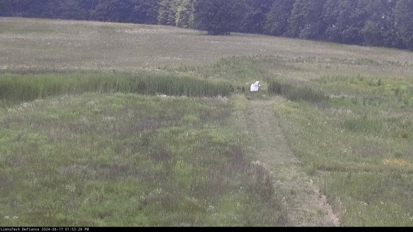 Cell 1 to 2_24-06-17_13-53-29-34