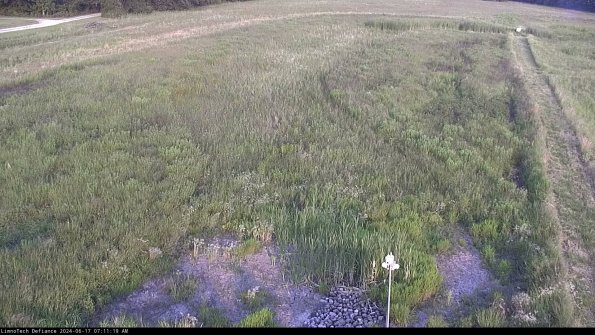 Cell 1_24-06-17_07-11-20-31